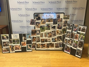 Schenck Price's Social Action Committee honors pets for National Pet Month